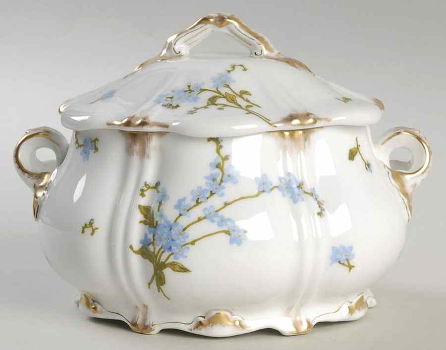 H2832 Sugar Bowl & Lid by Haviland-1