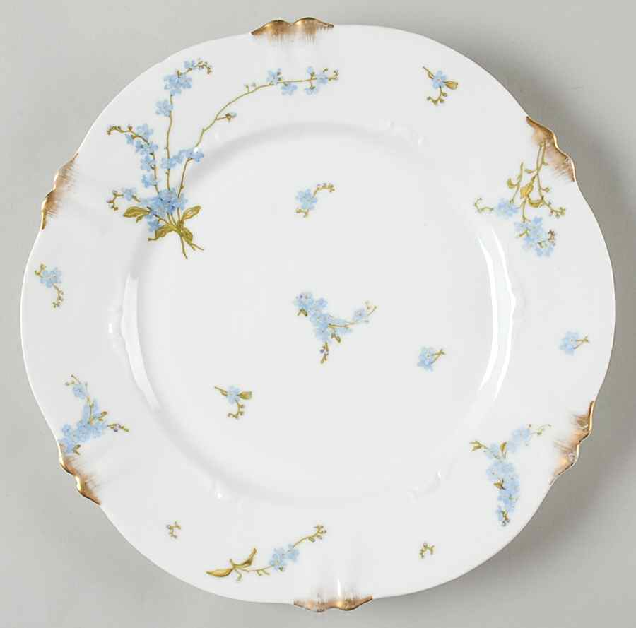 H2832 Dinner Plate by Haviland-1