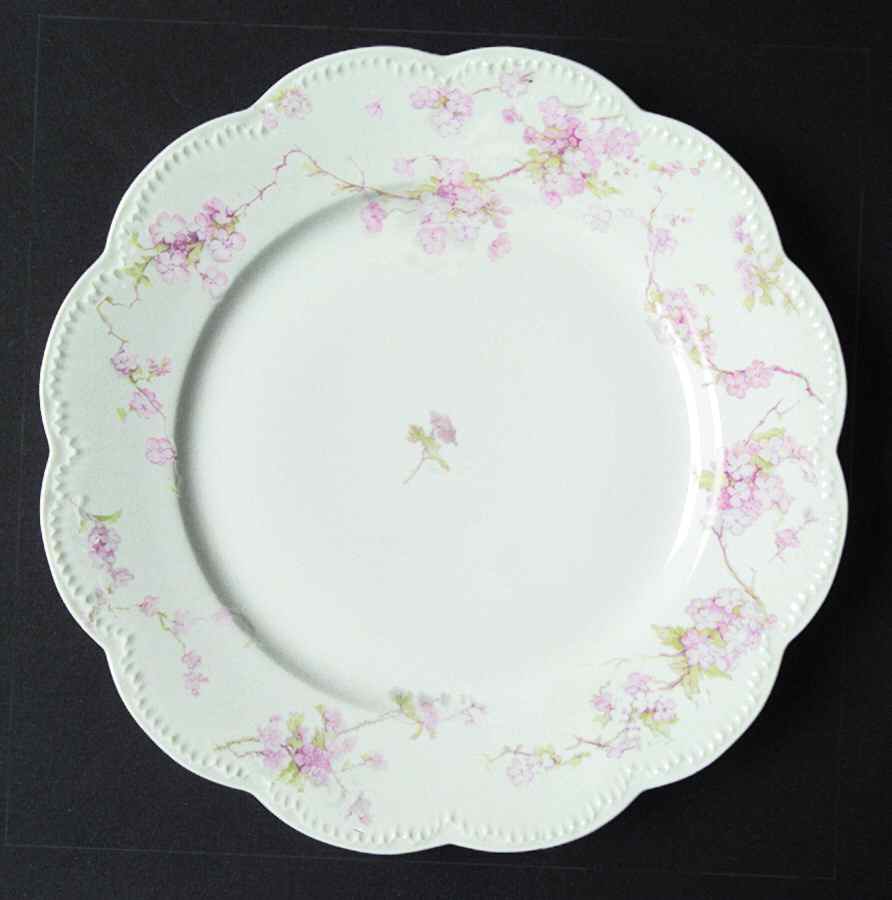 Schleiger 248V Luncheon Plate by Haviland-1