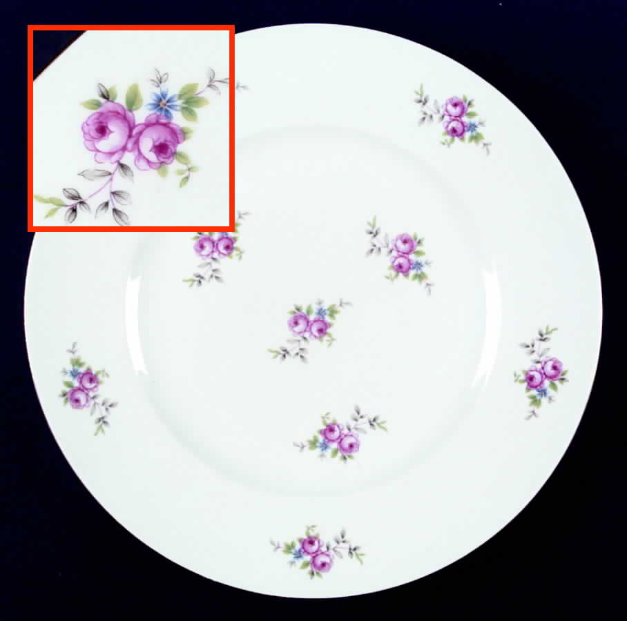 HEP6 Dinner Plate by Graf Von Henneberg-1