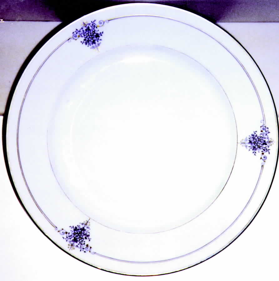 HUT587 Dinner Plate by Hutschenreuther-1