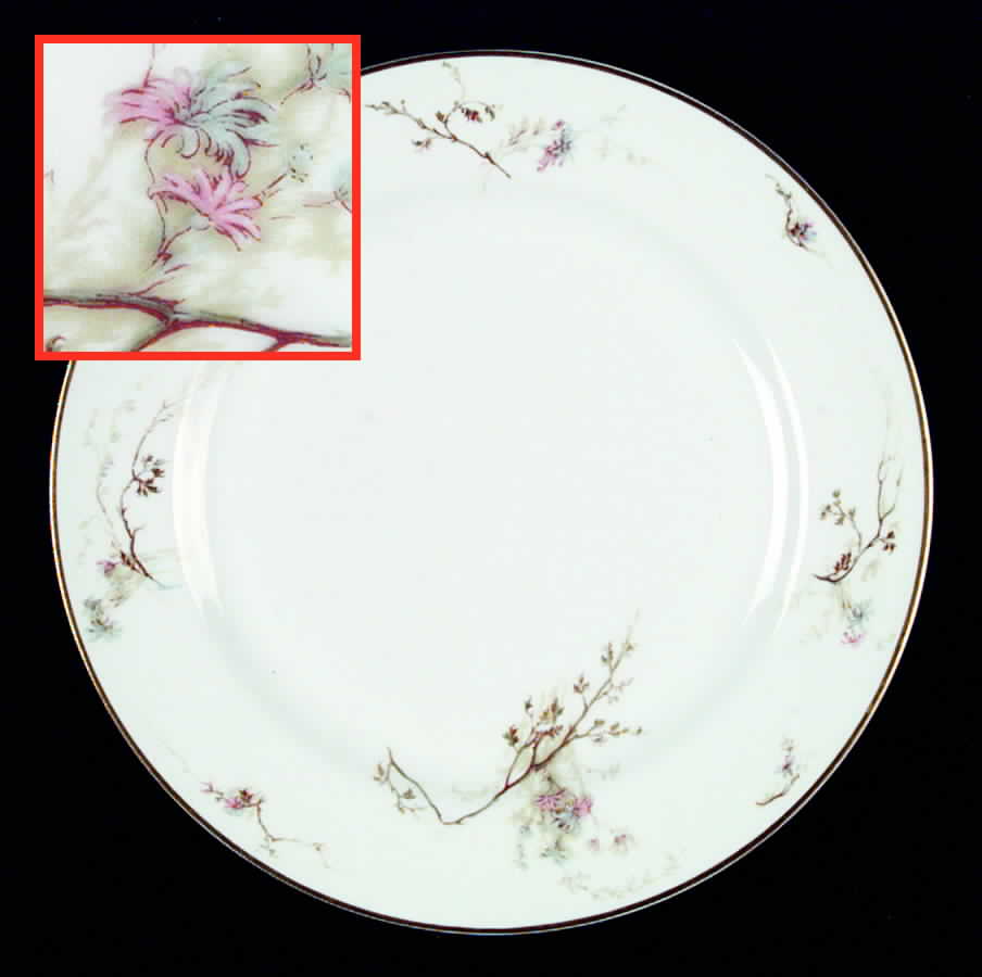 Schleiger 903 Salad Plate by Haviland-1