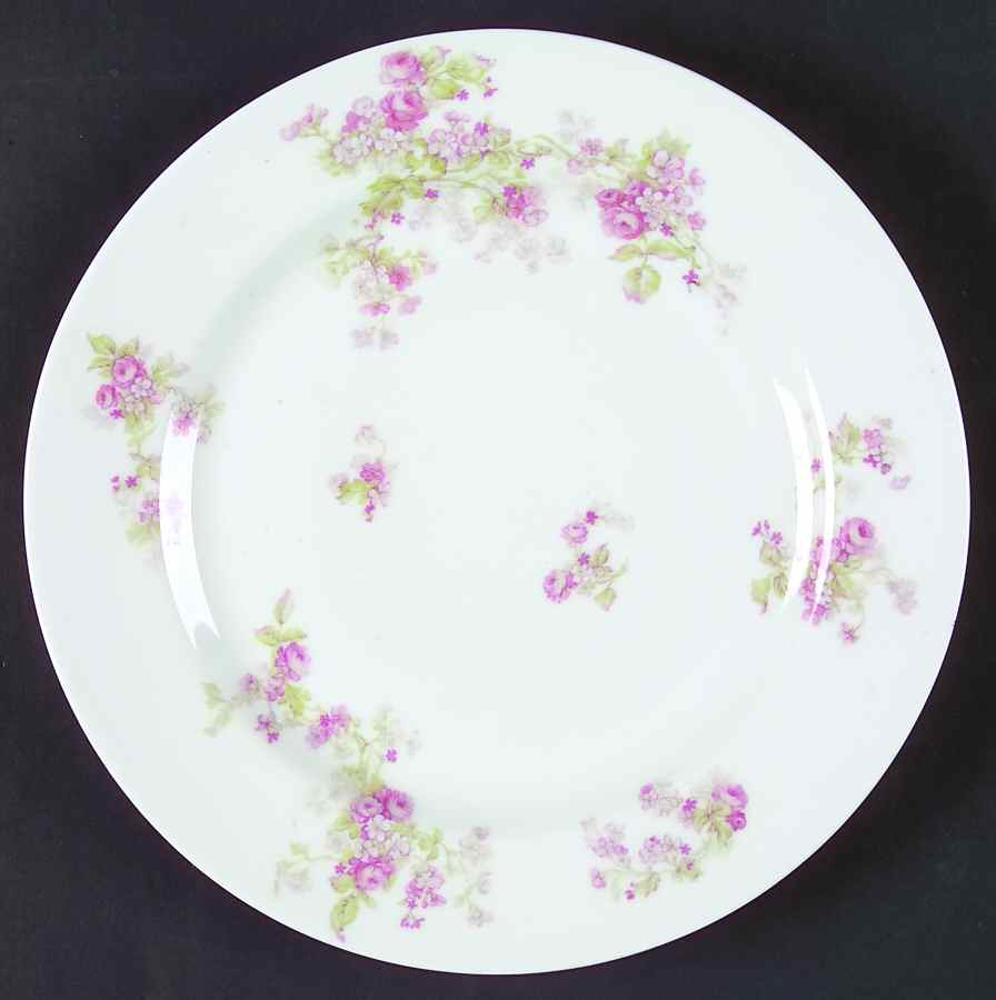 H592 Luncheon Plate by Haviland-1