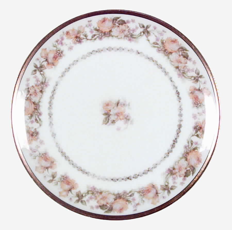 H606 Bread & Butter Plate by Haviland-1
