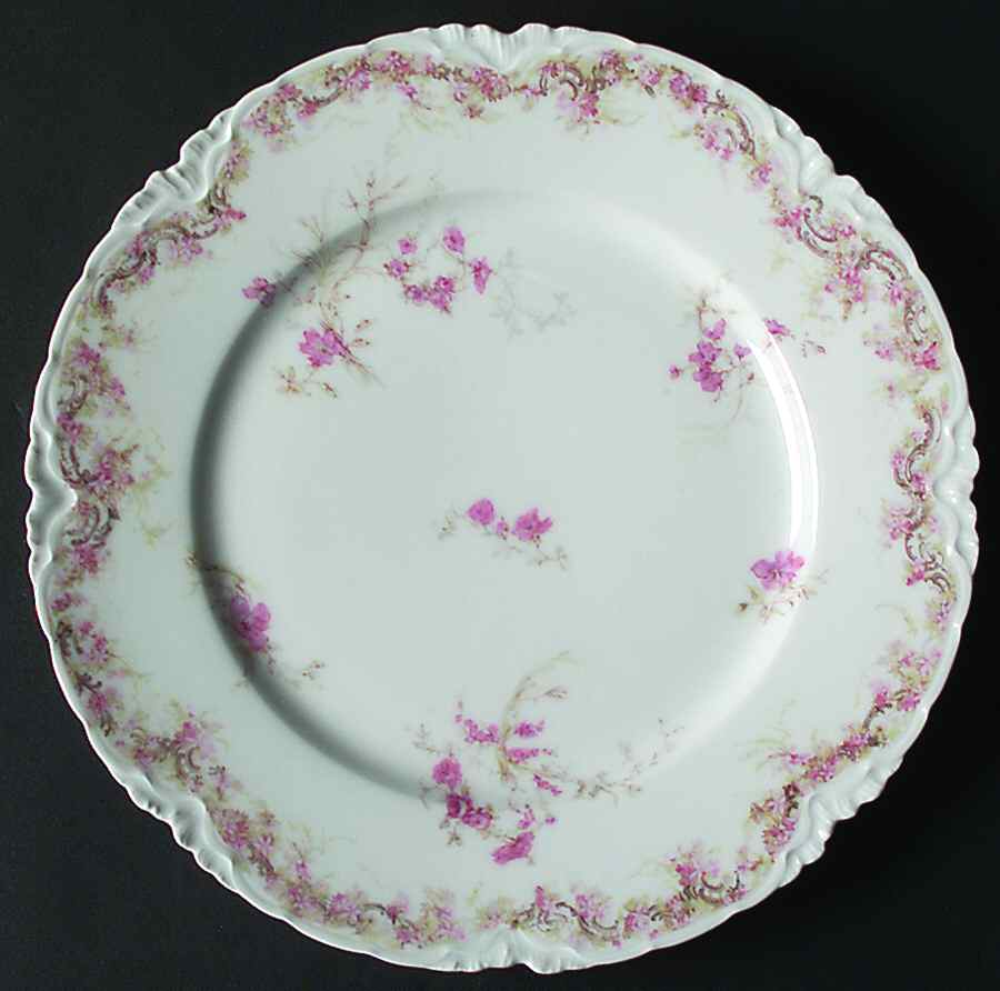 Schleiger 1166-8 Dinner Plate by Haviland-1