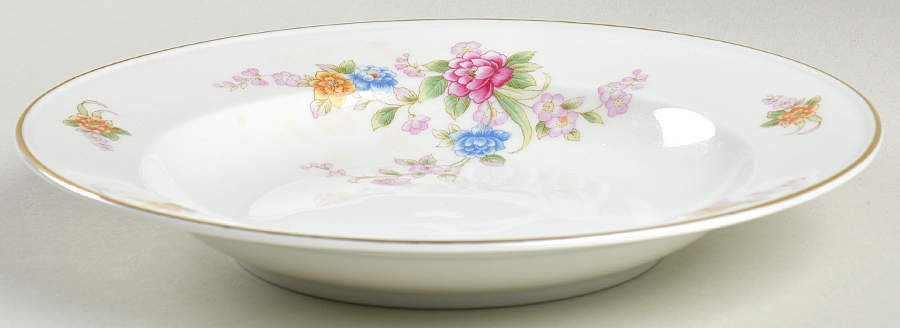 7587 Rim Soup Bowl by Hutschenreuther-1