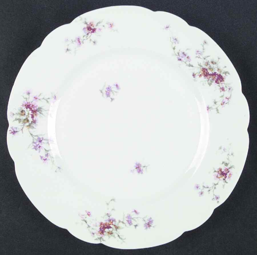 H608 Dinner Plate by Haviland-1