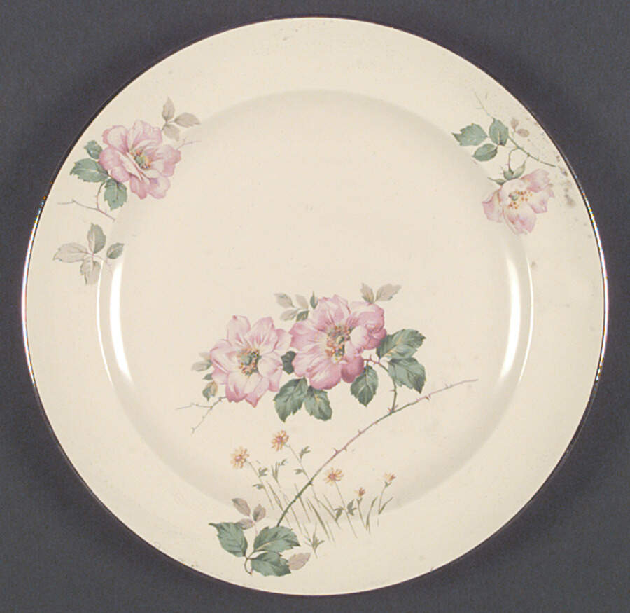 W6033-W6933 Dinner Plate by Homer Laughlin -1