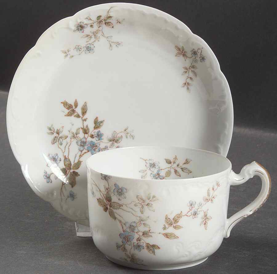 Schleiger 464B Flat Cup & Saucer Set by Haviland-1