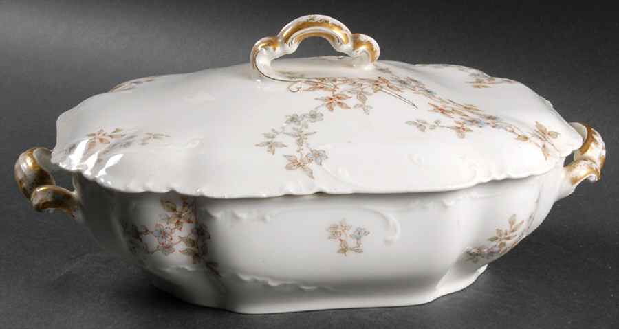 Schleiger 464B Rectangular Covered Vegetable by Haviland-1