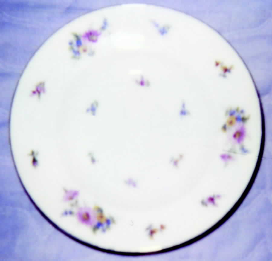 HEJ31 Dinner Plate by Hertel Jacob-1