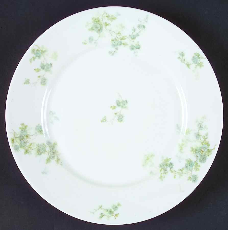 Schleiger 42-5 Dinner Plate by Haviland-1