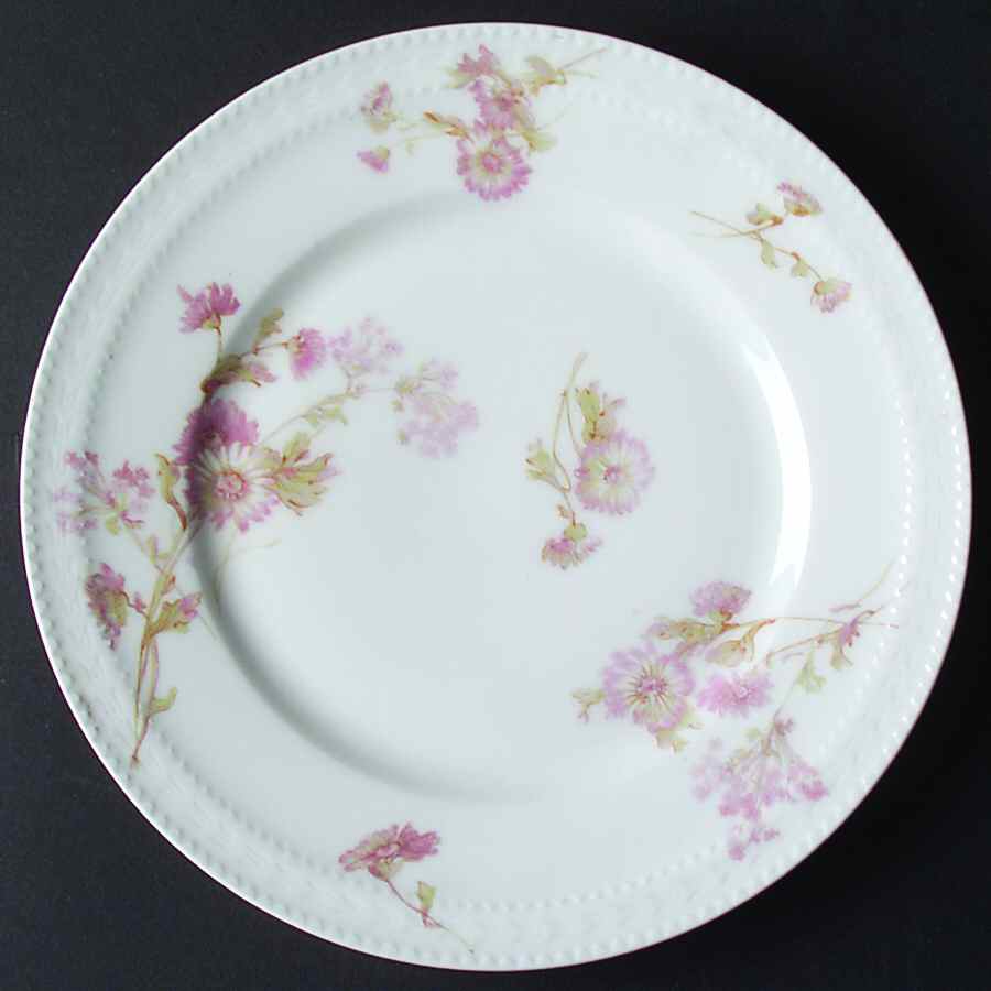Schleiger 237E Salad Plate by Haviland-1