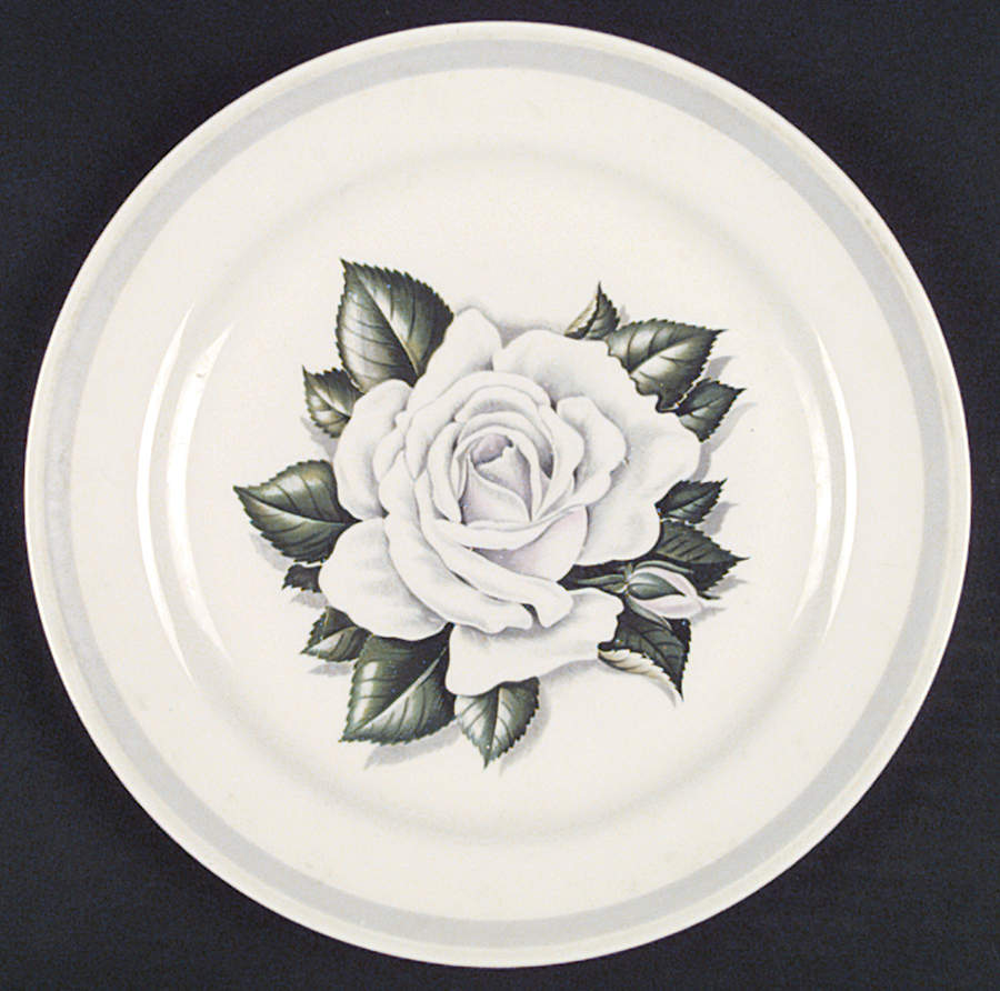 HLC759 Dinner Plate by Homer Laughlin -1