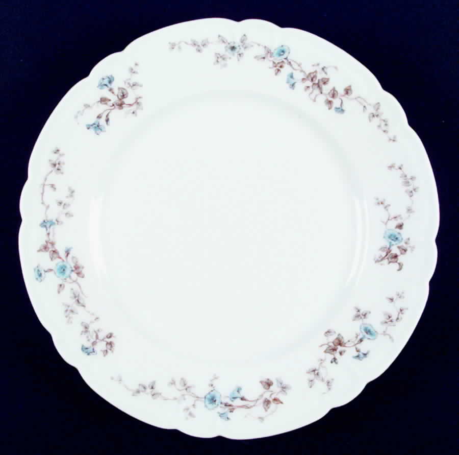 H625 Dinner Plate by Haviland-1