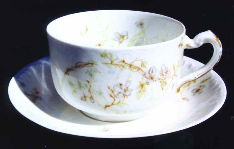 Schleiger 1167c Flat Cup & Saucer Set by Haviland-1