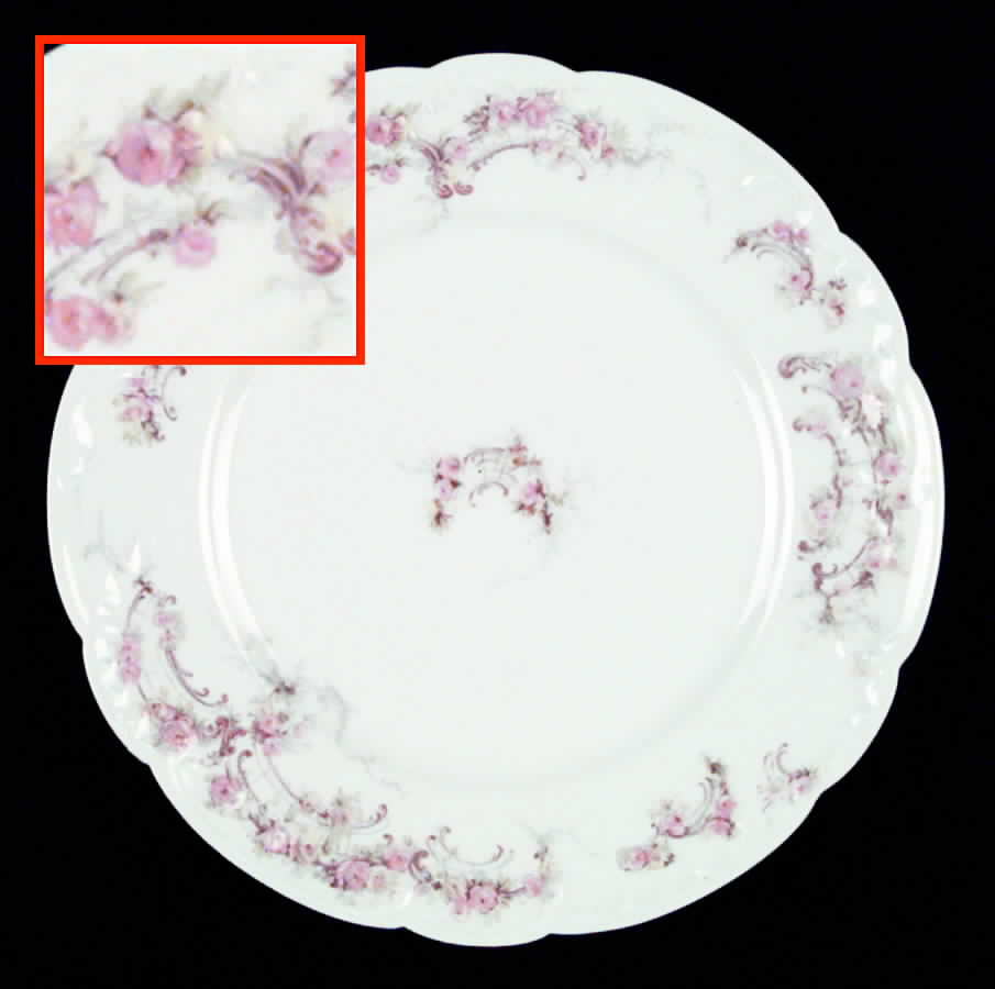 Schleiger 475b Salad Plate by Haviland-1