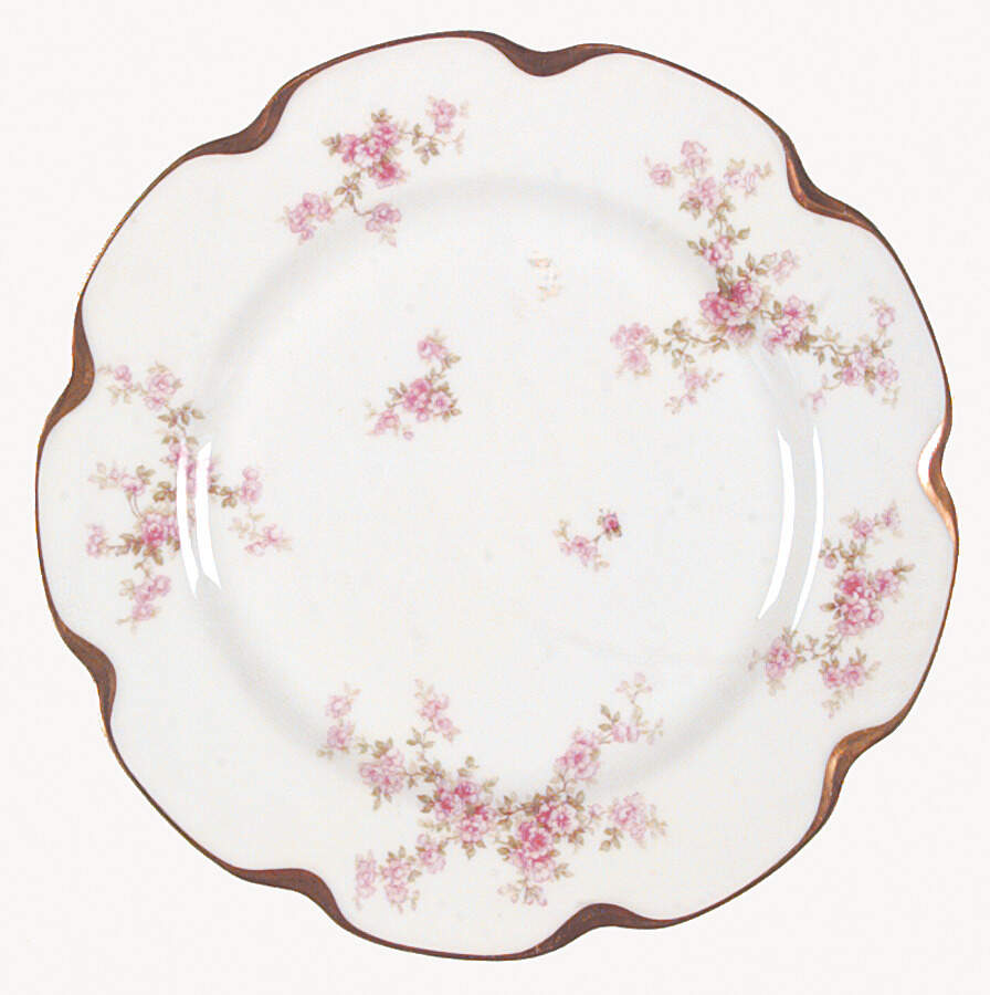 Schleiger 67J Dinner Plate by Haviland-1