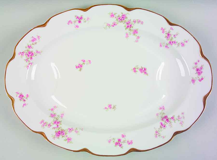 Schleiger 67J 18" Oval Serving Platter by Haviland-1