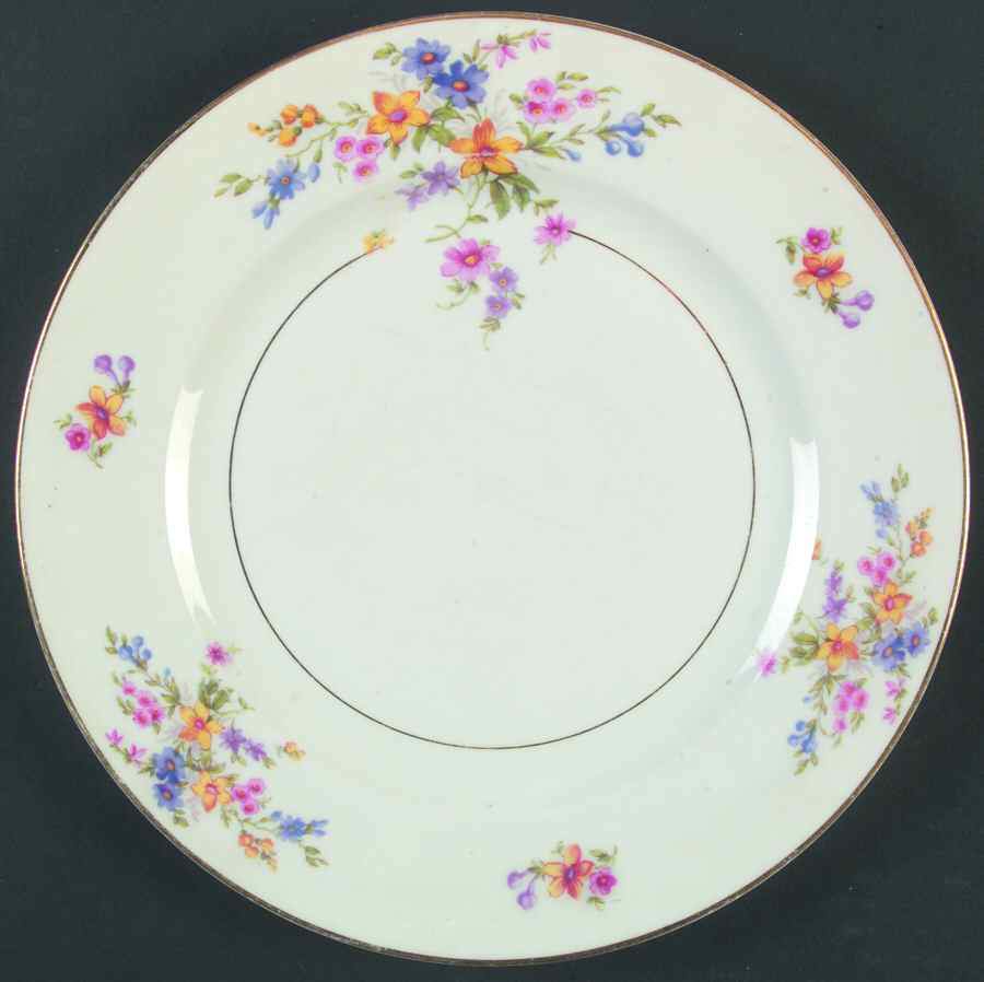 74376 Dinner Plate by Heinrich - H&C-1