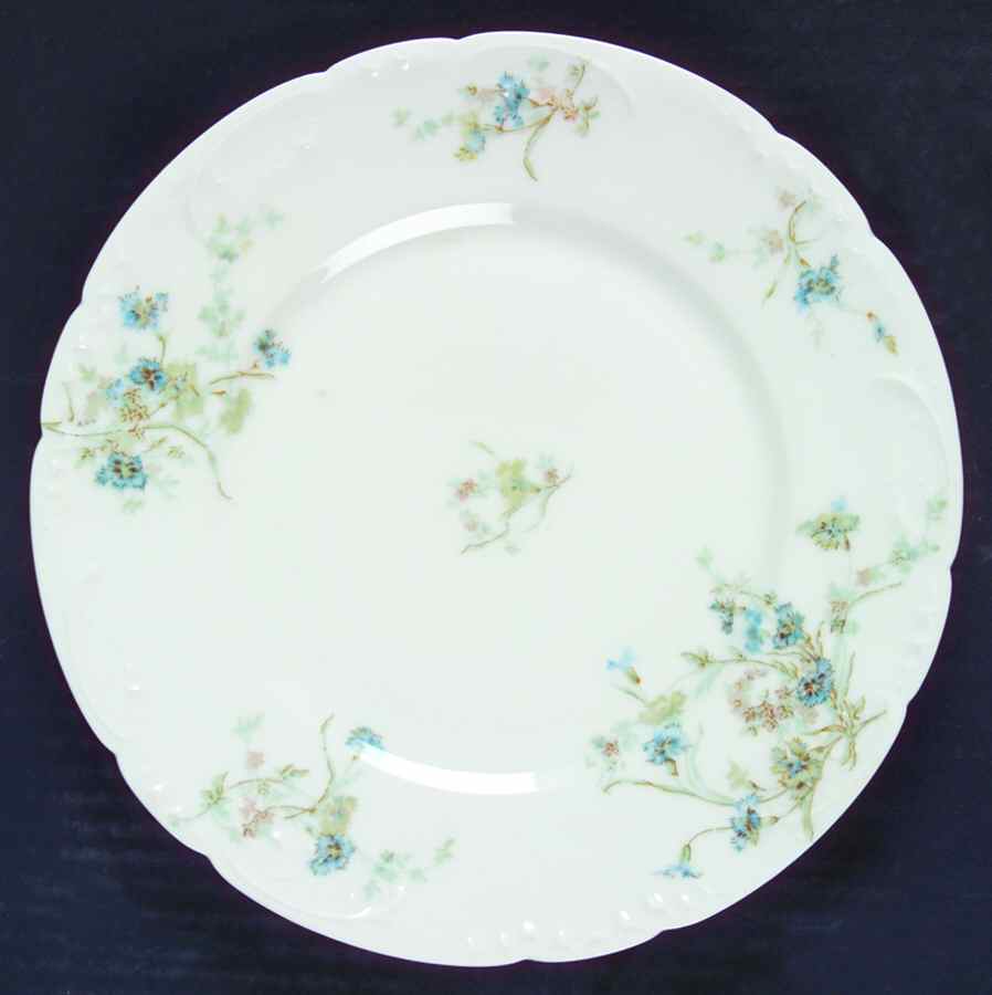 Schleiger 1018b Salad Plate by Haviland-1