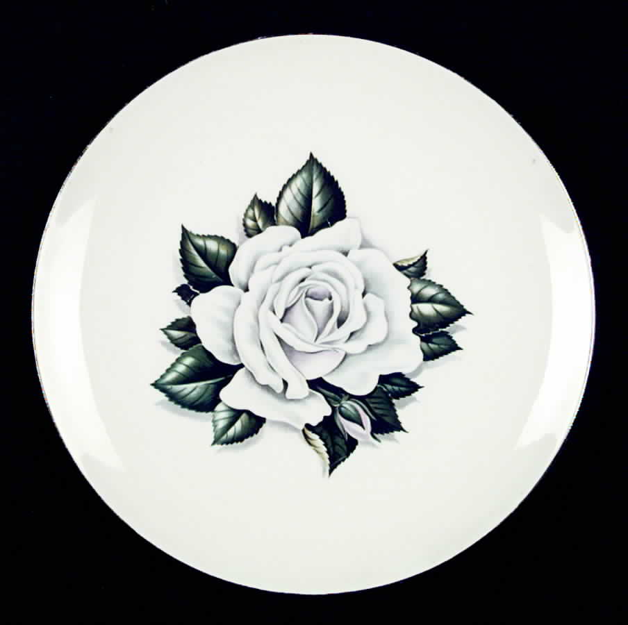 RY252 Dinner Plate by Homer Laughlin -1