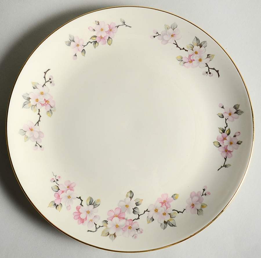 RY102 Dinner Plate by Homer Laughlin -1