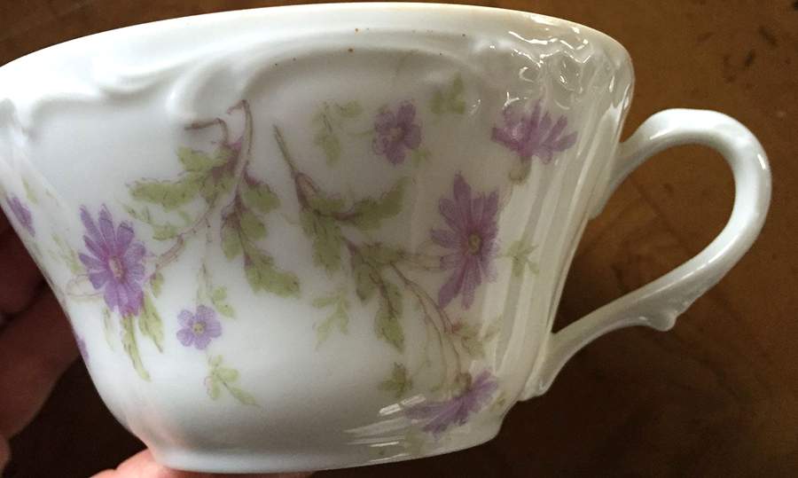 HAB28 Flat Cup by Habsburg-1