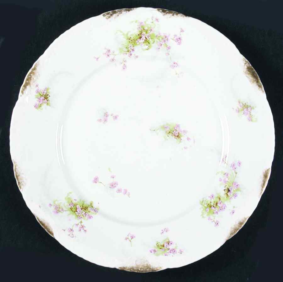 Schleiger 836d Dinner Plate by Haviland-1