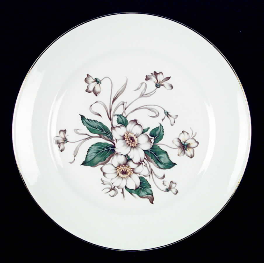 HLC800 Dinner Plate by Homer Laughlin -1