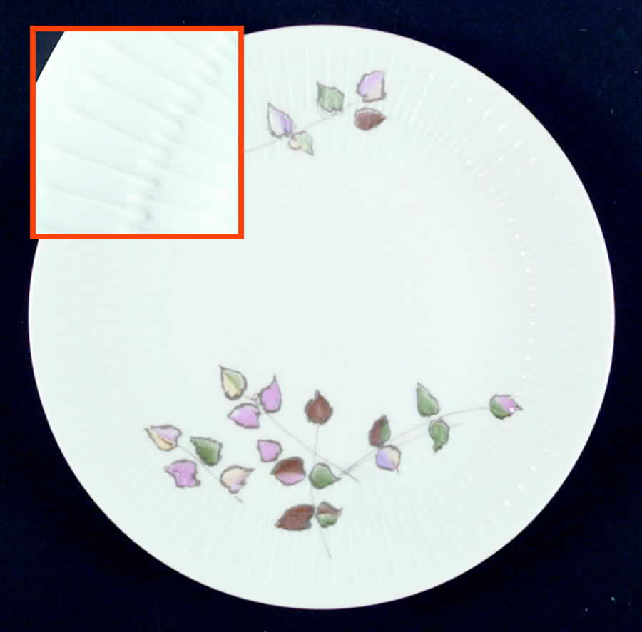 9265 Salad Plate by Hutschenreuther-1