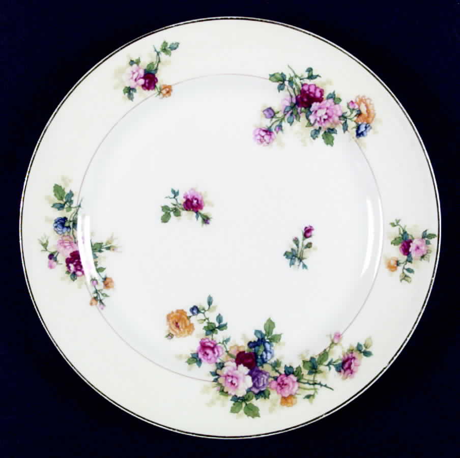 Virginia Dinner Plate by Haviland-1