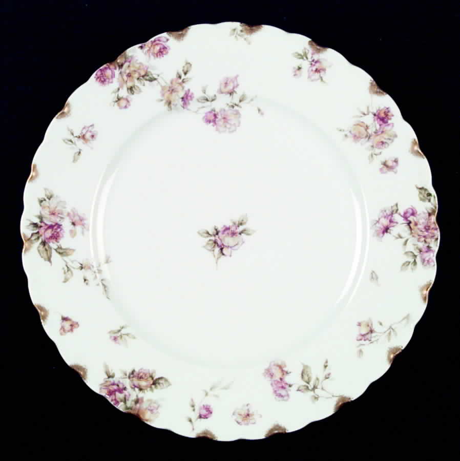 Schleiger 39-2 Dinner Plate by Haviland-1