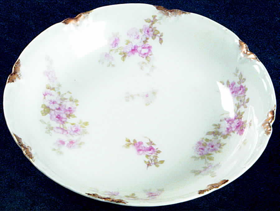 Schleiger 1131A Fruit/Dessert (Sauce) Bowl by Haviland-1