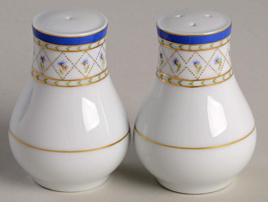 Val De Loire (Blue Band) Salt & Pepper Set by Haviland-1