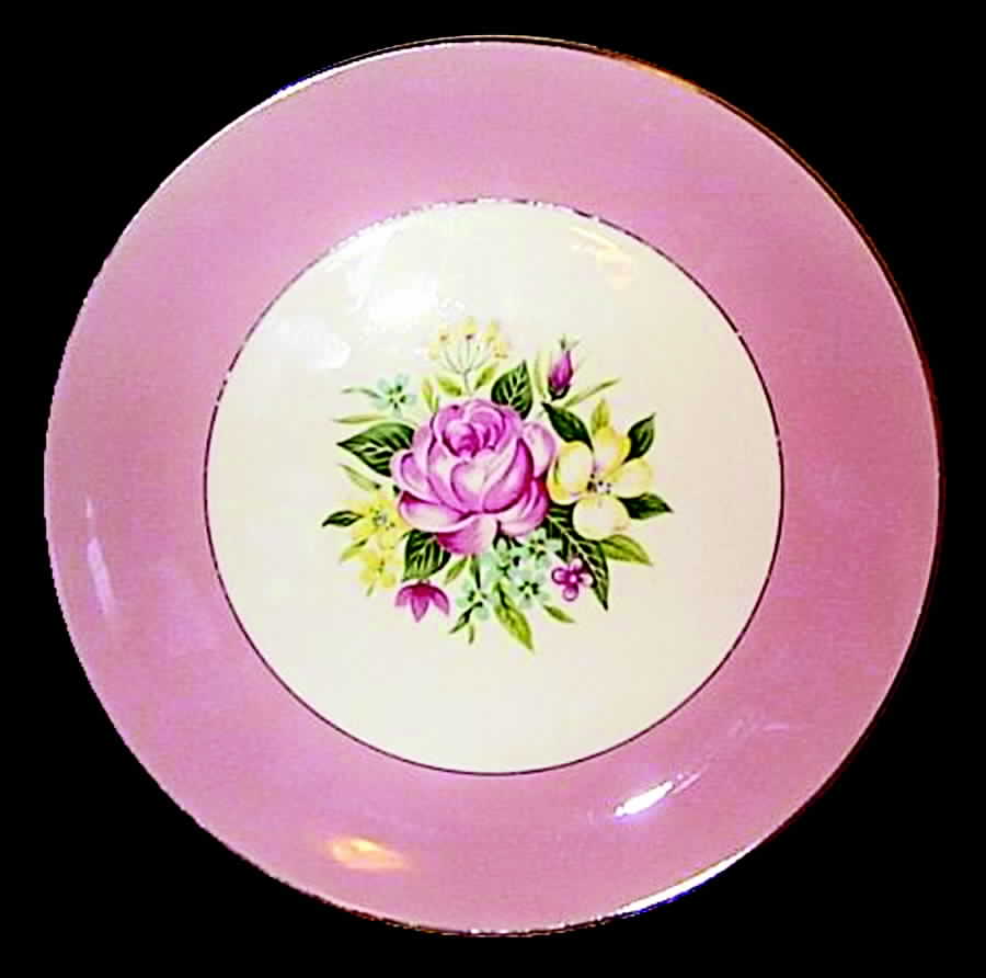 HLC806 Dinner Plate by Homer Laughlin -1
