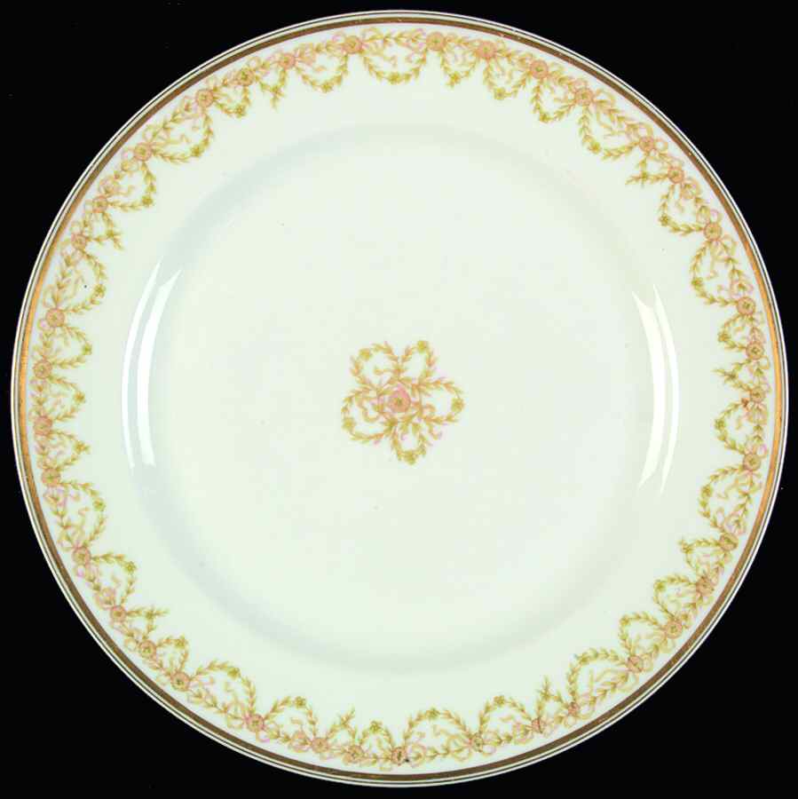 H663 Dinner Plate by Haviland-1