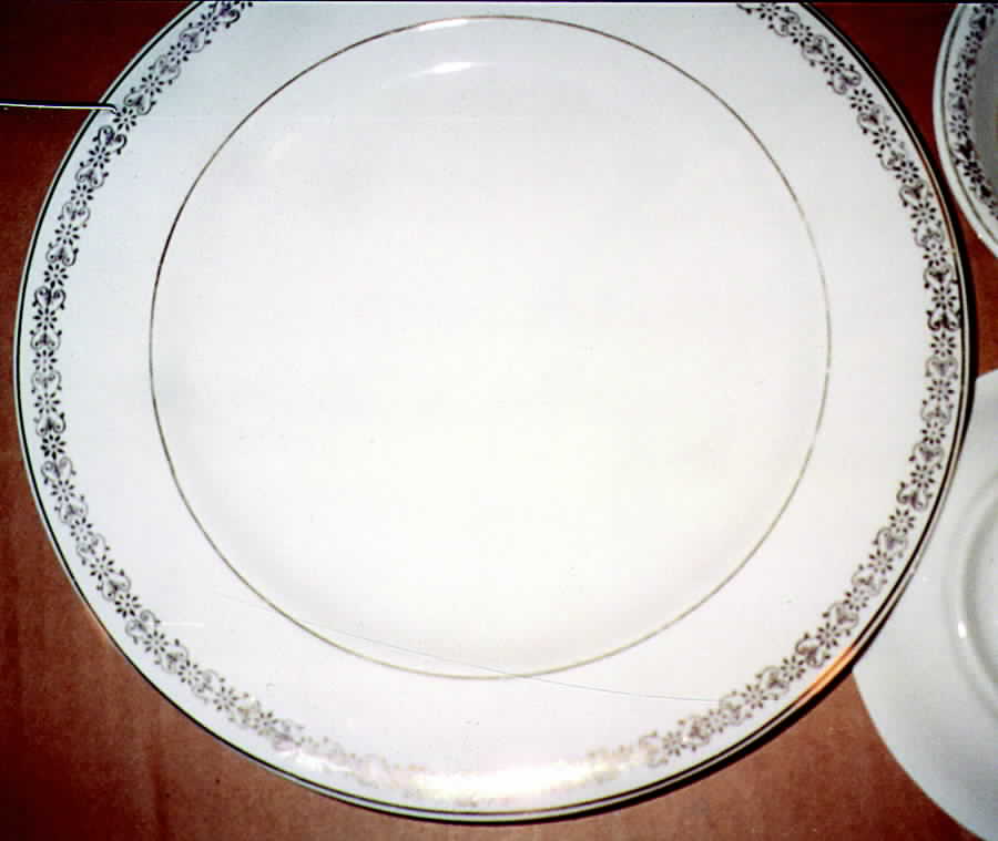 HBU1 Dinner Plate by Hub China-1