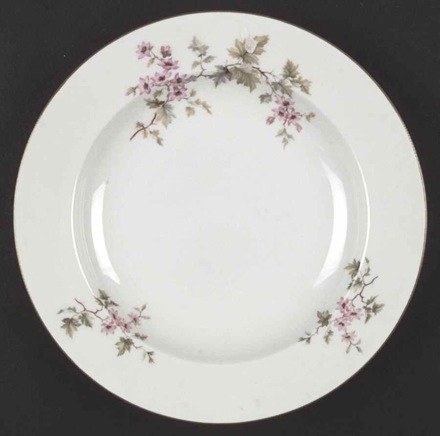 7958 Large Rim Soup Bowl by Hutschenreuther-1