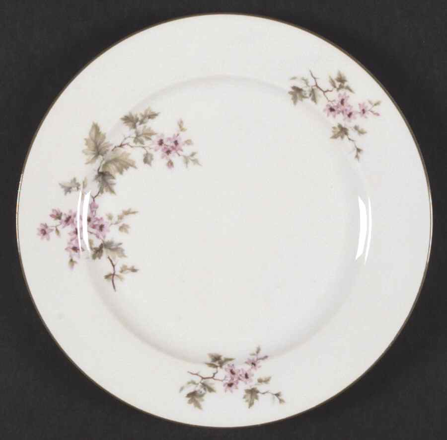 7958 Salad Plate by Hutschenreuther-1