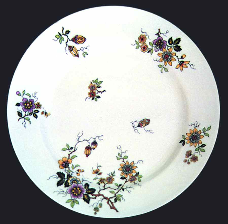 H667 Dinner Plate by Haviland-1