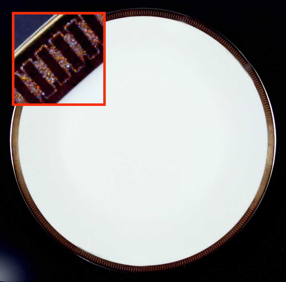 8513 Dinner Plate by Hutschenreuther-1