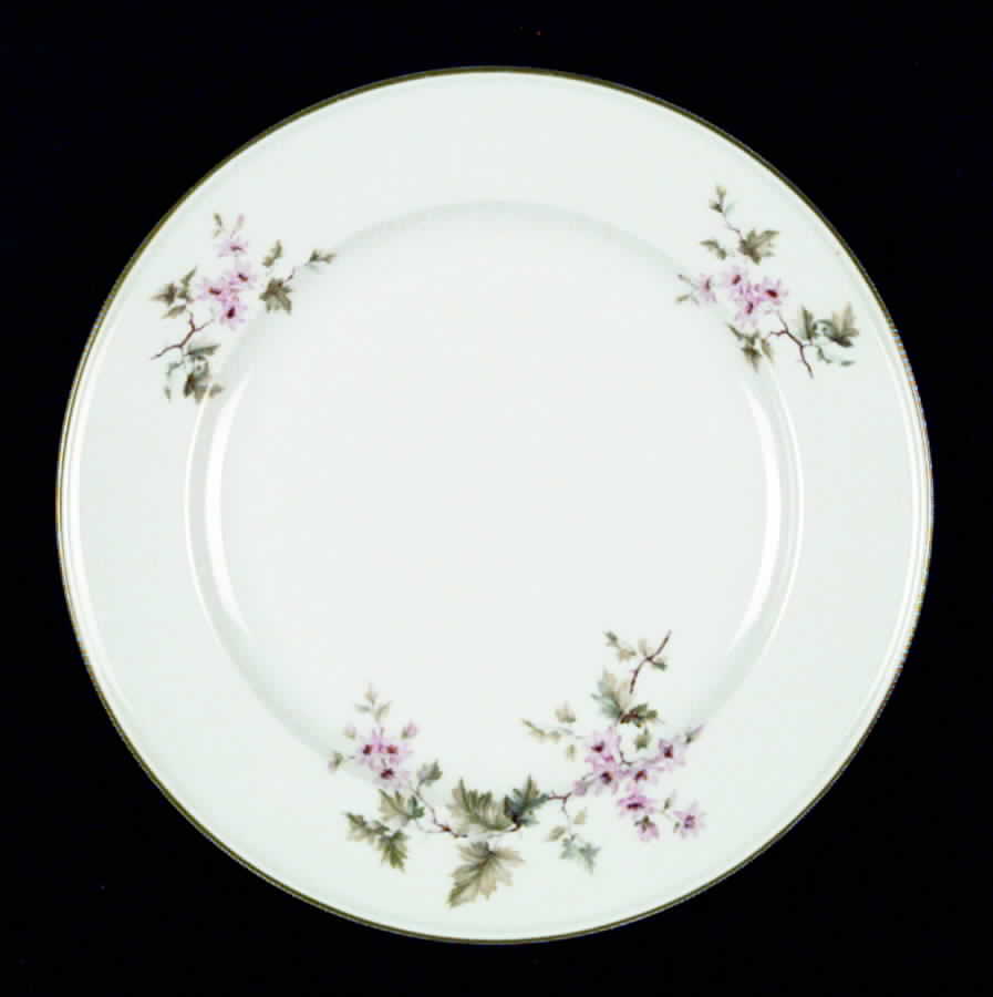 HUT2 (Green Trim) Salad Plate by Hutschenreuther-1
