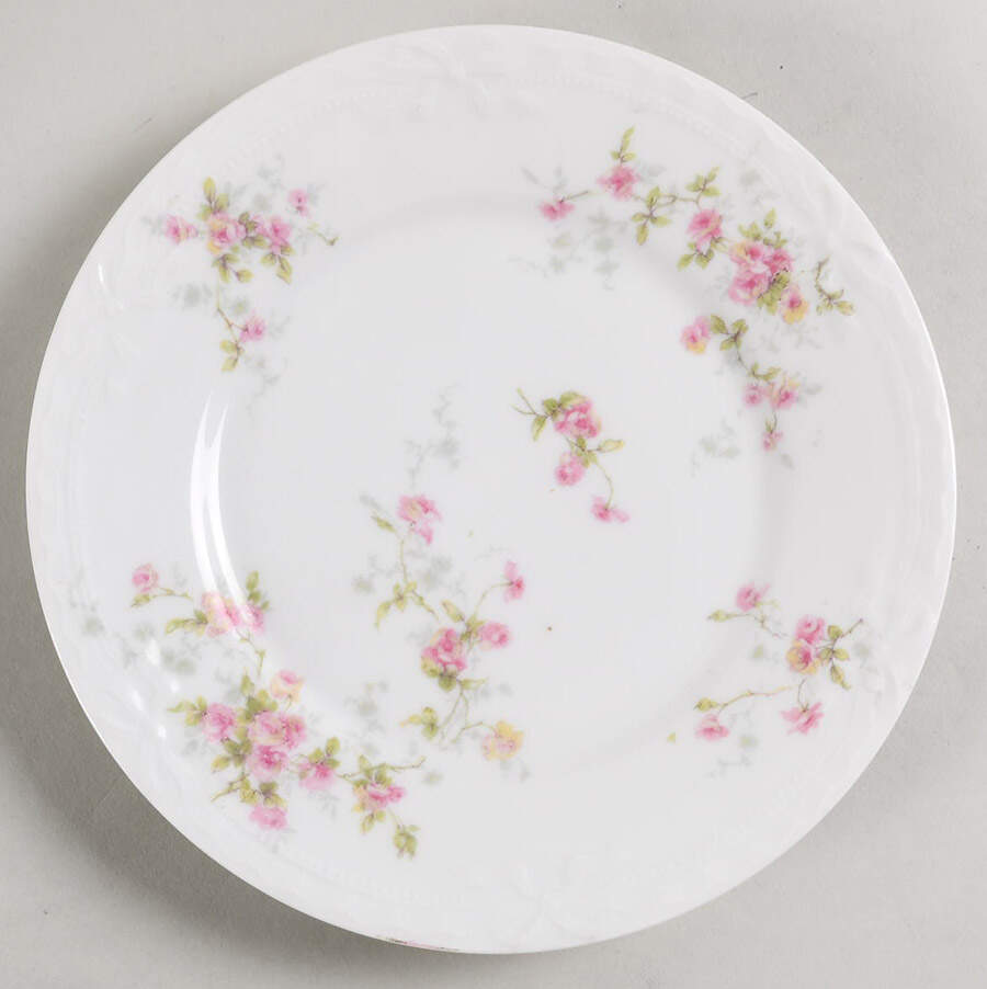Schleiger 150f Salad Plate by Haviland-1