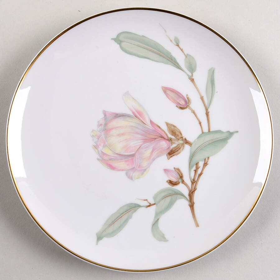 Magnolia (7955, White, Coupe) Salad Plate by Hutschenreuther-1