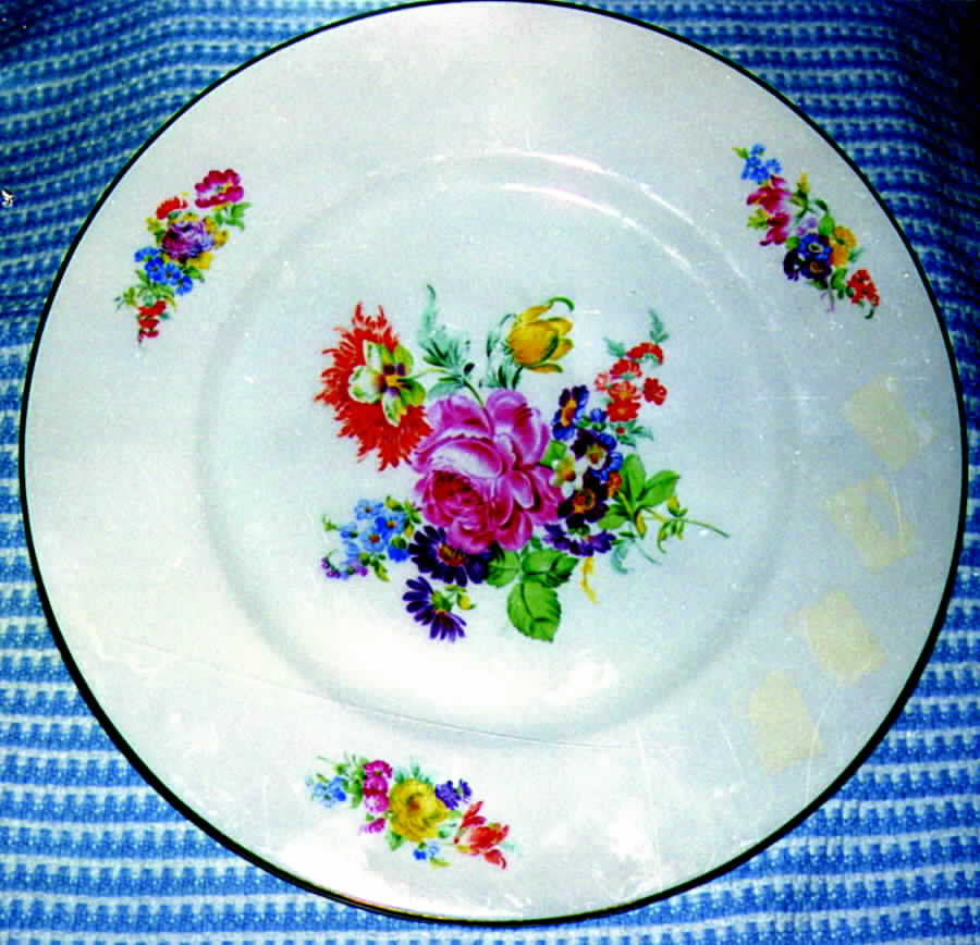 04131 Dinner Plate by Hutschenreuther-1