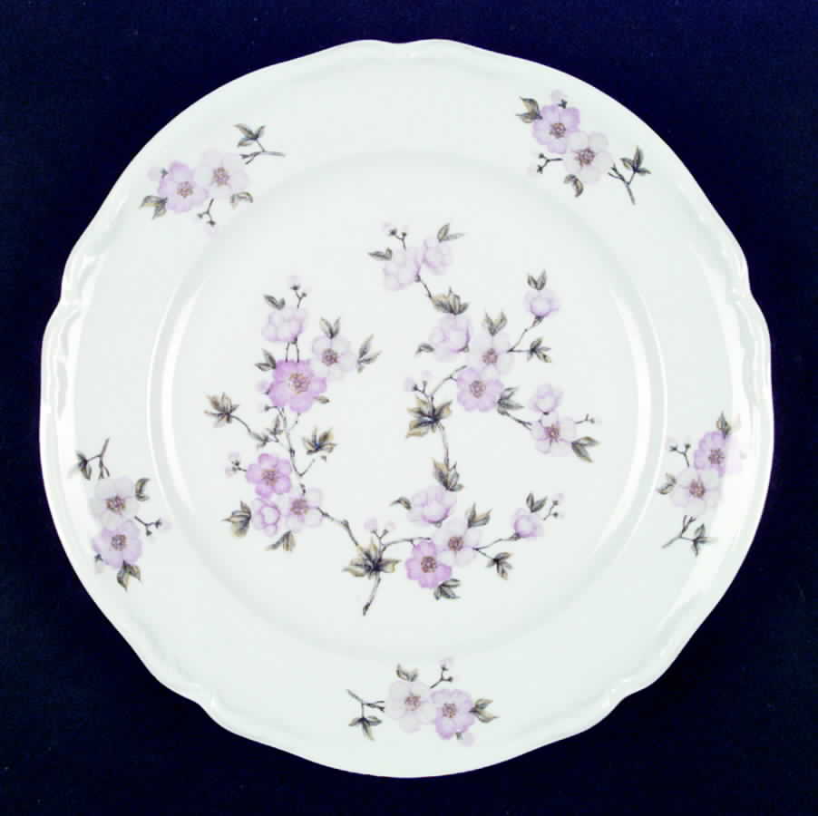 Florette Dinner Plate by Hutschenreuther-1