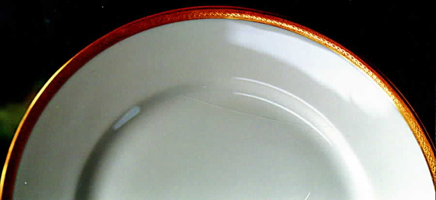 H675 Dinner Plate by Haviland-1