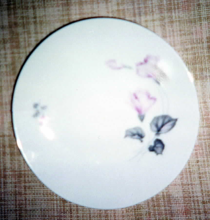 HUT620 Dinner Plate by Hutschenreuther-1