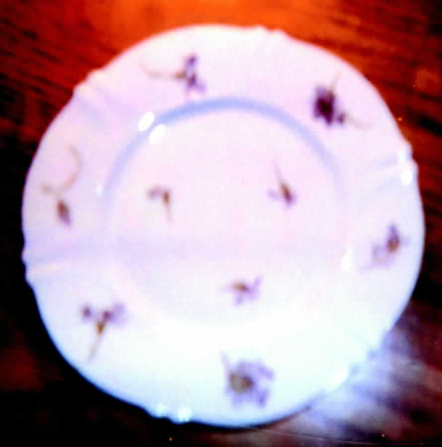 Schleiger 1029-4 Salad Plate by Haviland-1